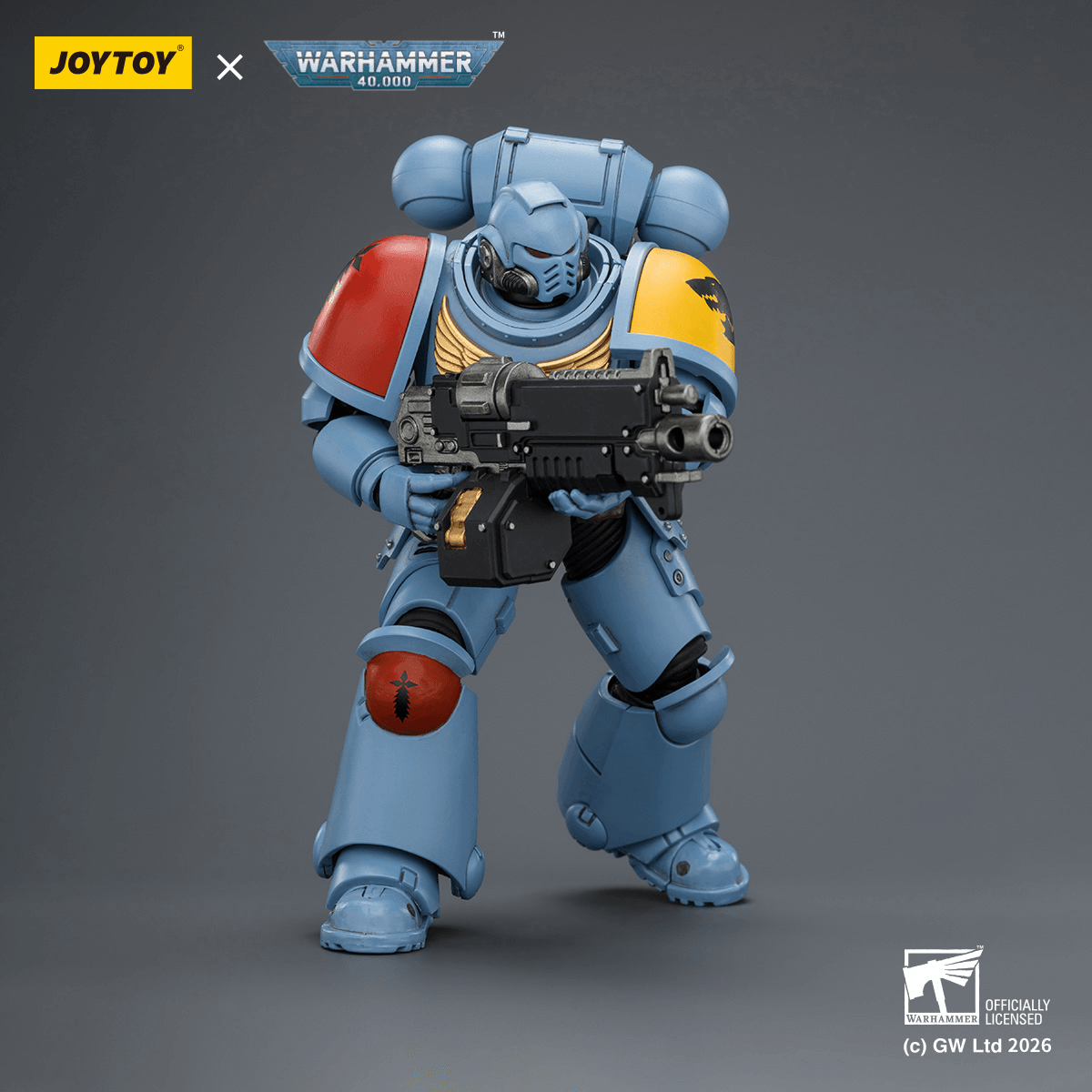 Space Wolves Intercessor with Bolt Rifle, Bolt Pistol and Chainsword | 6927054403851