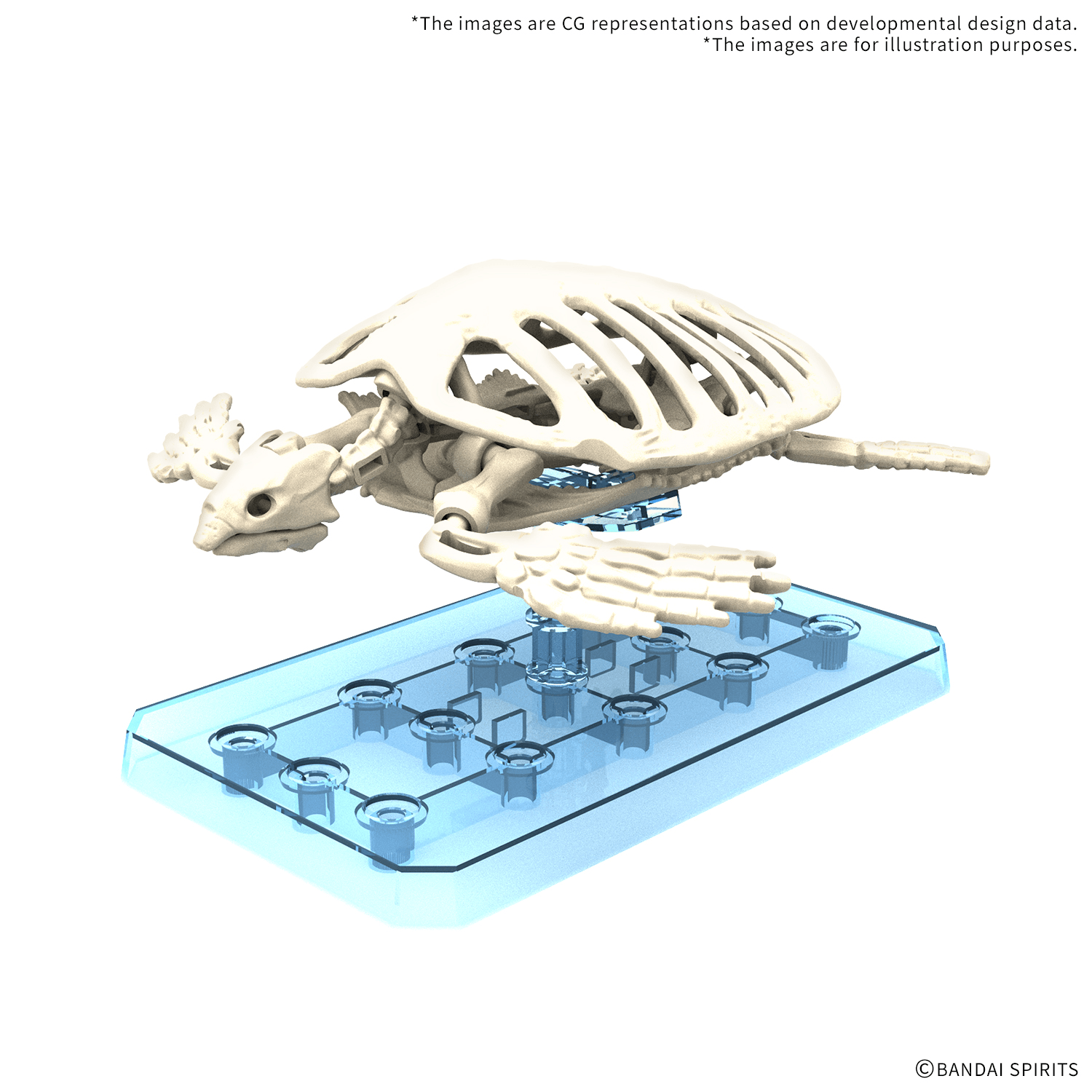 PLANNOSAURUS Archelon | 4573102742919