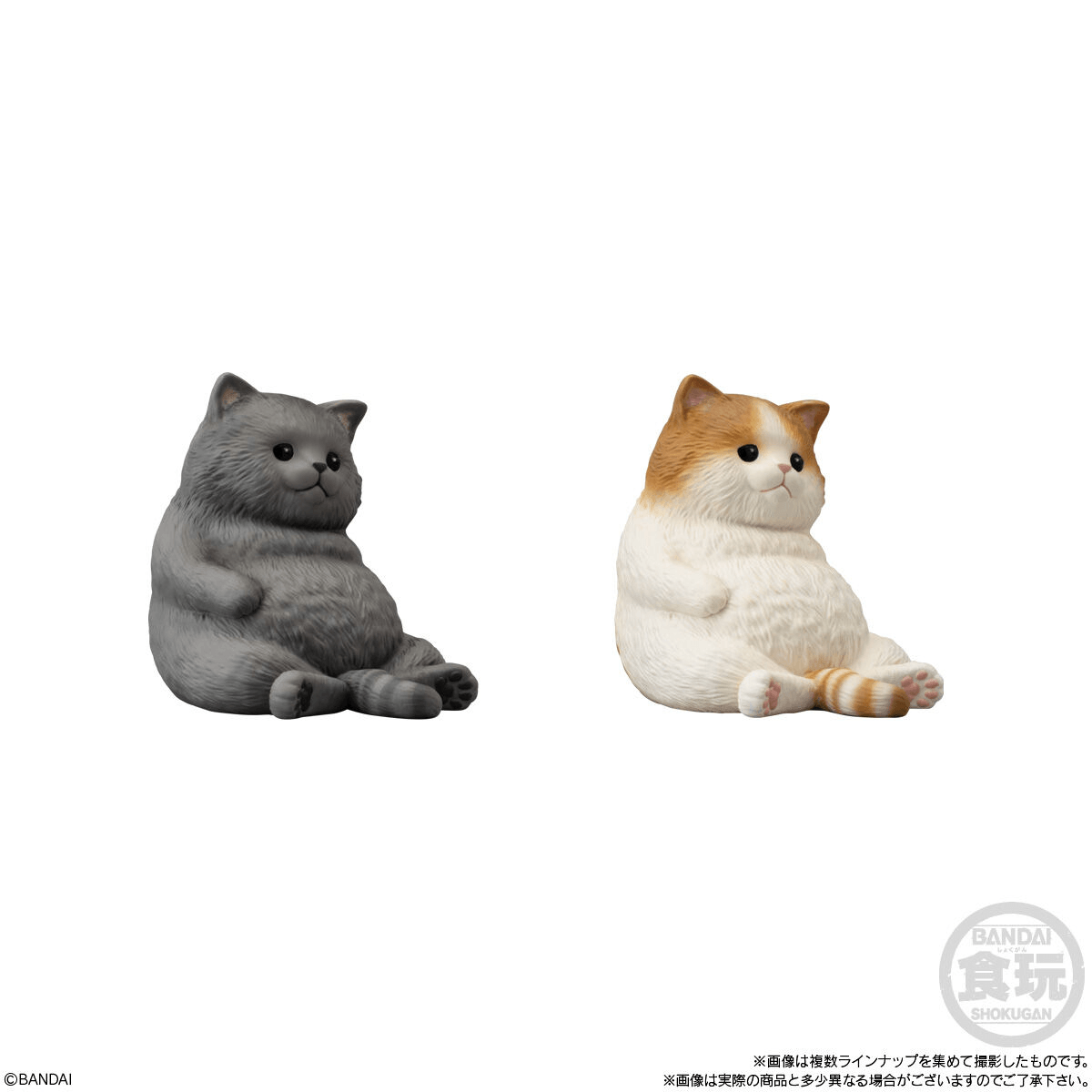 Mocchiri Kororin Cats (Open Box/12)
