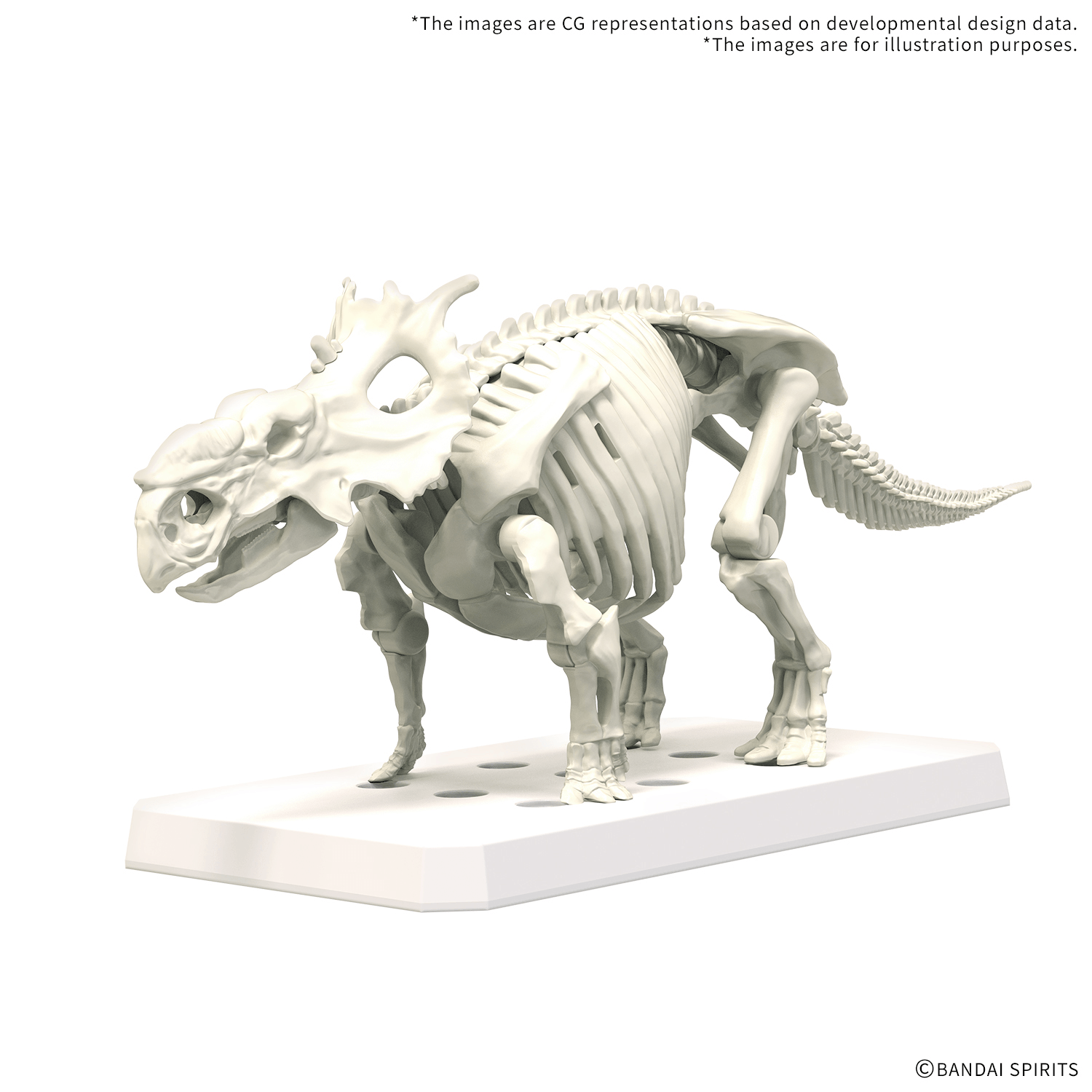 PLANNOSAURUS Pachyrhinosaurus | 4573102742483