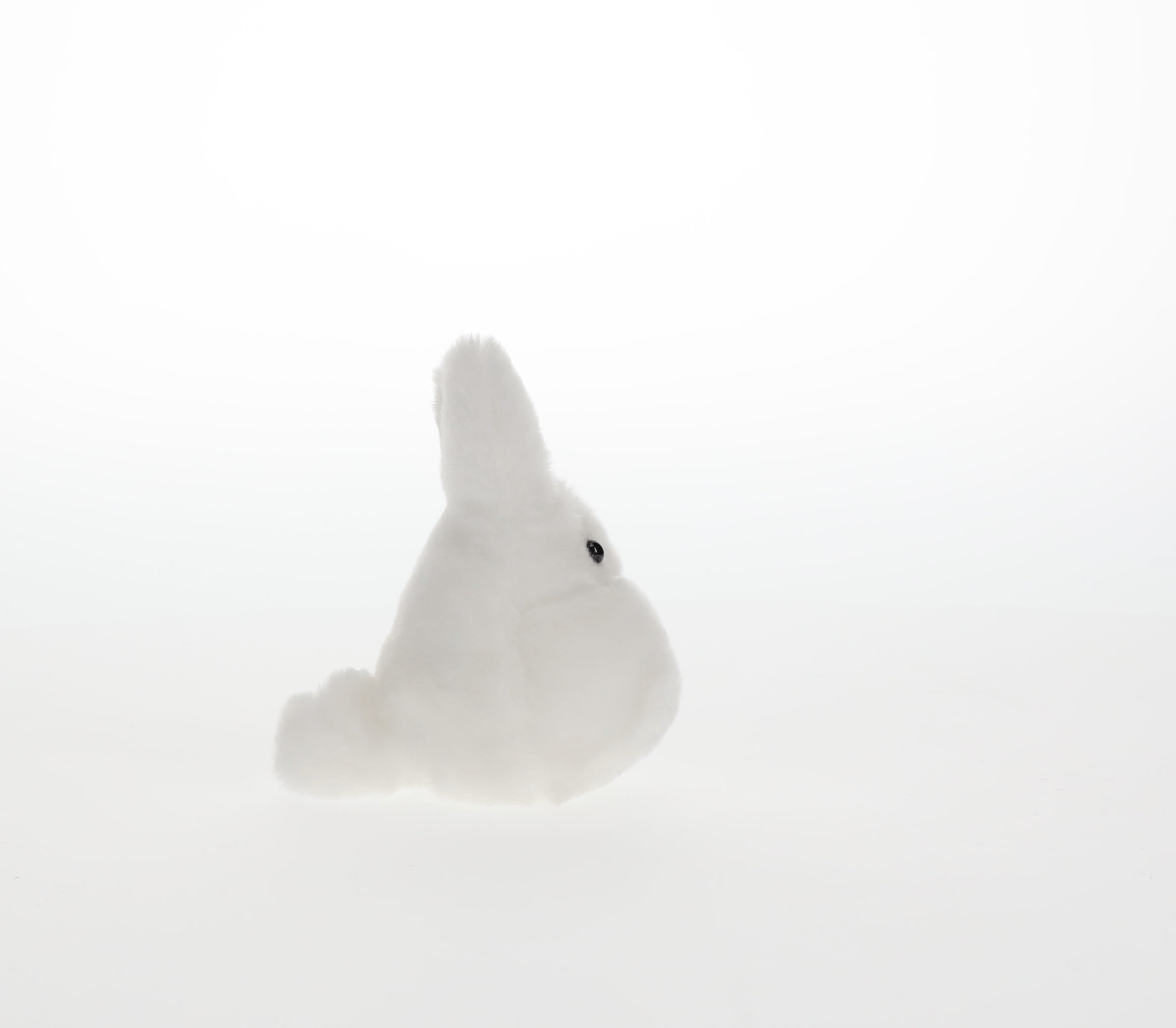 Small White Totoro Beanbag (S) "My Neighbor Totoro" | 045557144548