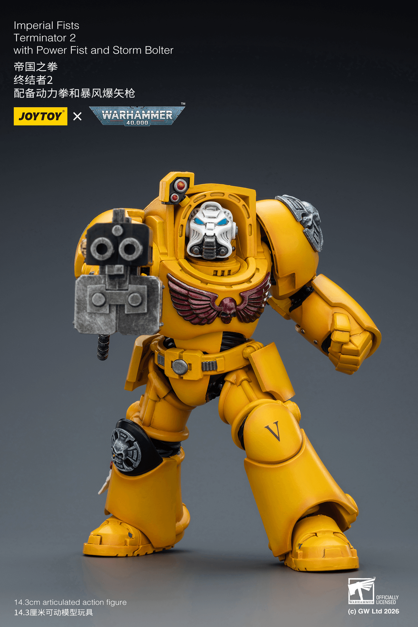 Imperial Fists Terminator 2 with Power Fist and Storm Bolter | 6927054403165