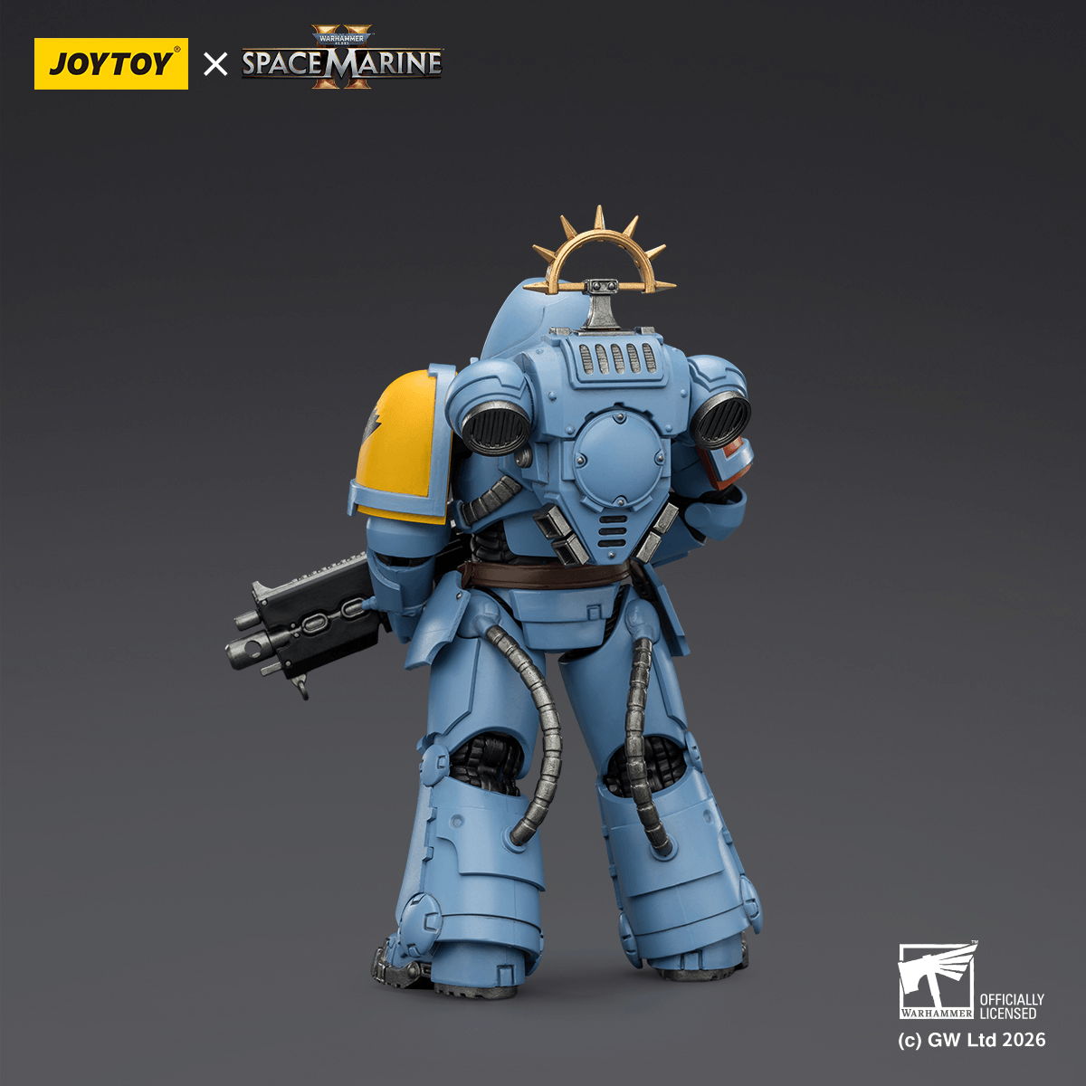Game Edition Space Wolves Heavy Intercessor with Heavy Bolt Rifle and Bolt Pistol | 6927054403646