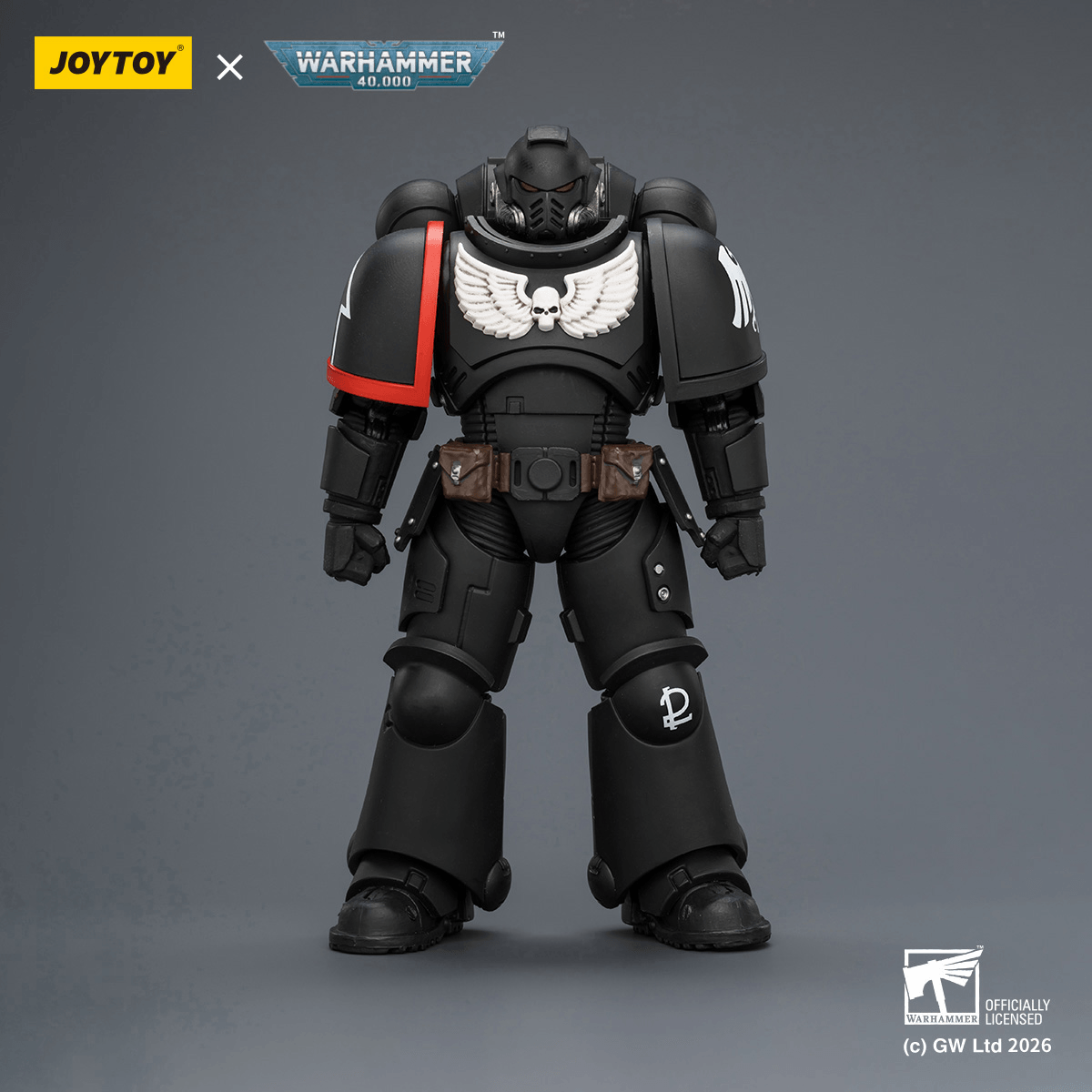 Raven Guard Intercessor with Bolt Rifle, Bolt Pistol and Chainsword | 6927054403899