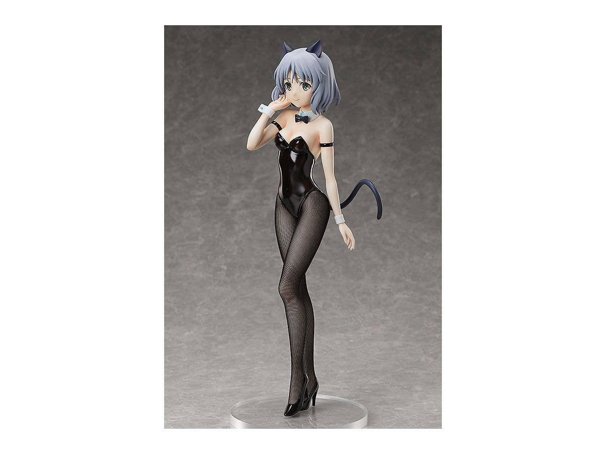 FREEing Sanya V. Litvyak: Bunny Style Ver. | 4570001511158