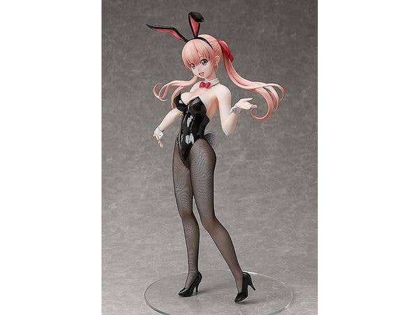 FREEing Erika Amano: Bunny Ver. | 4570001511943