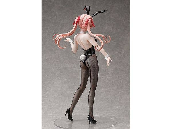FREEing Erika Amano: Bunny Ver. | 4570001511943
