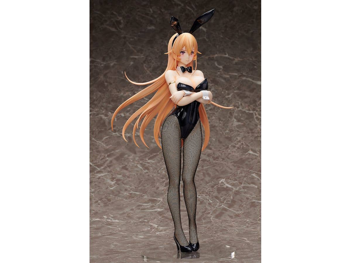 FREEing Erina Nakiri: Bunny Ver.(Re-run) | 4570001513381