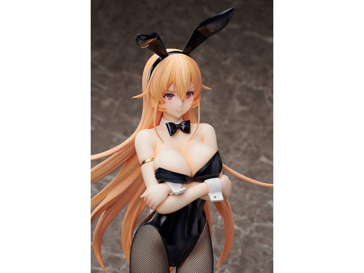 FREEing Erina Nakiri: Bunny Ver.(Re-run) | 4570001513381