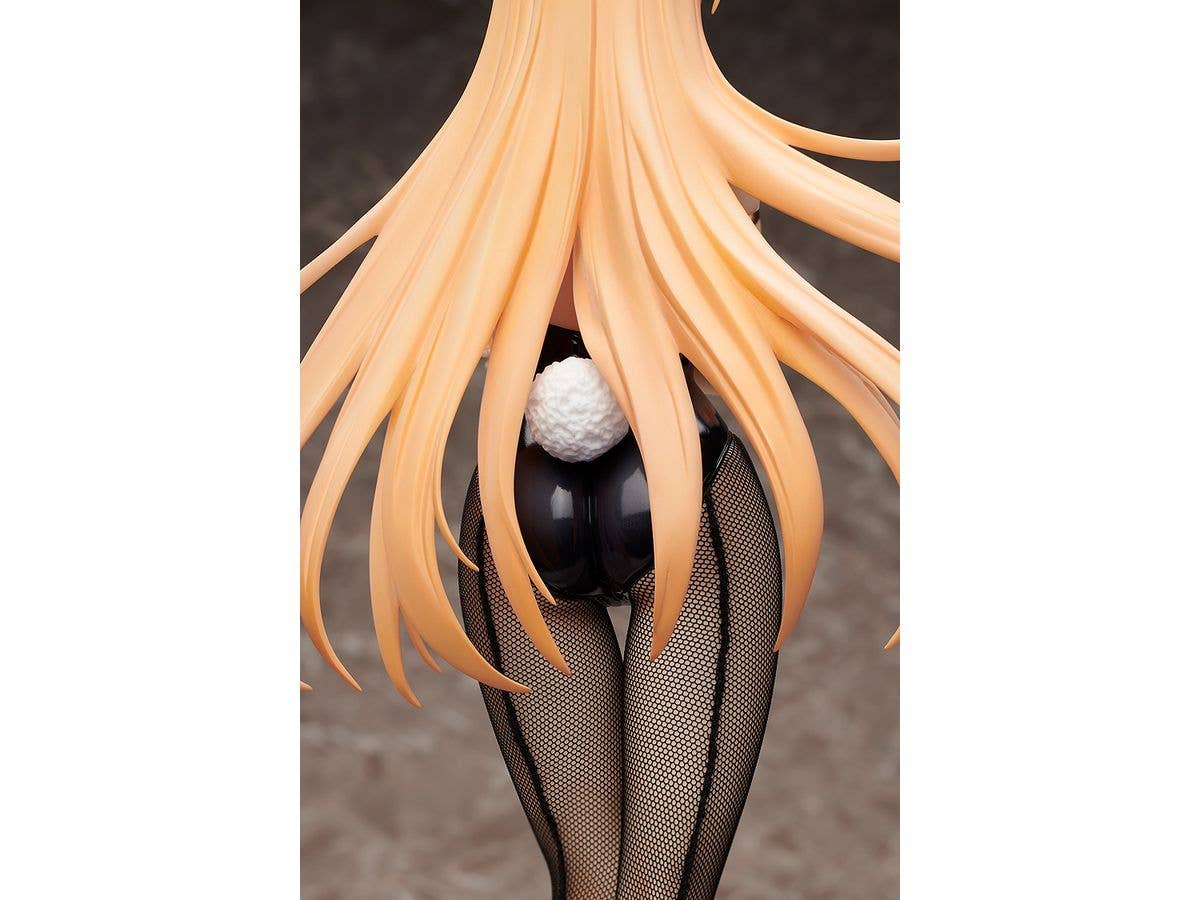 FREEing Erina Nakiri: Bunny Ver.(Re-run) | 4570001513381