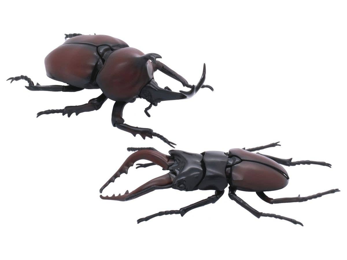 Fujimi Biology Edition Beetle vs Stag Beetle Showdown Set | 4968728170862