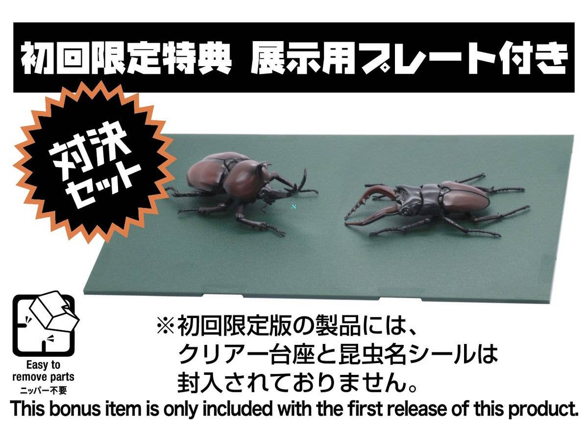 Fujimi Biology Edition Beetle vs Stag Beetle Showdown Set | 4968728170862