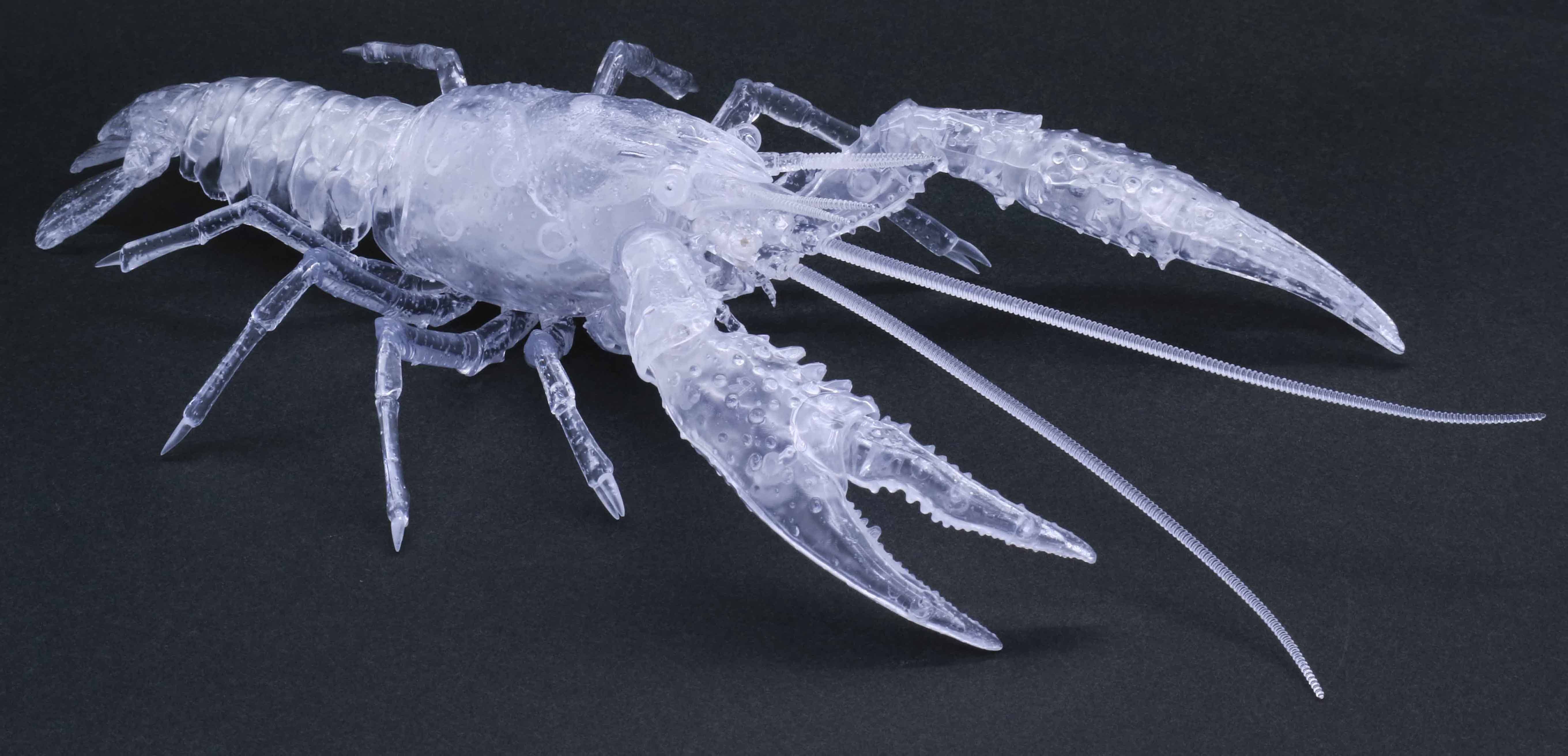 Fujimi Biology Edition Crayfish (Clear) | 4968728171005