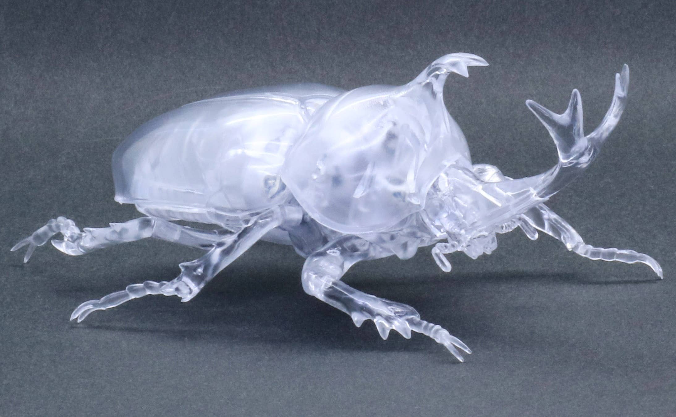 Fujimi Biology Edition Beetle (Clear) | 4968728171043