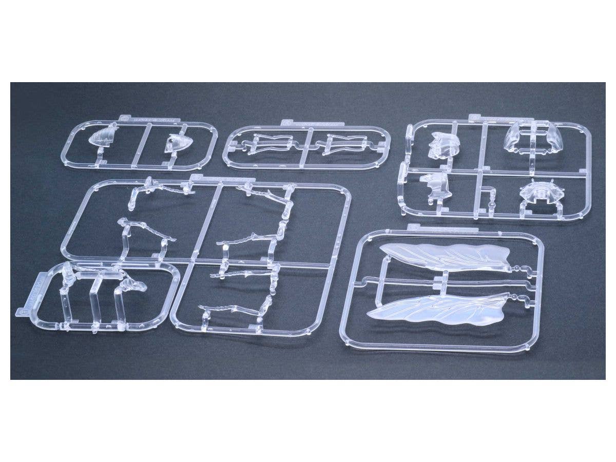 Fujimi Biology Edition Beetle (Clear) | 4968728171043