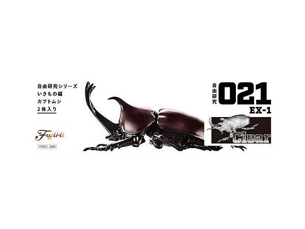 Fujimi Biology Edition Beetle (Clear) | 4968728171043