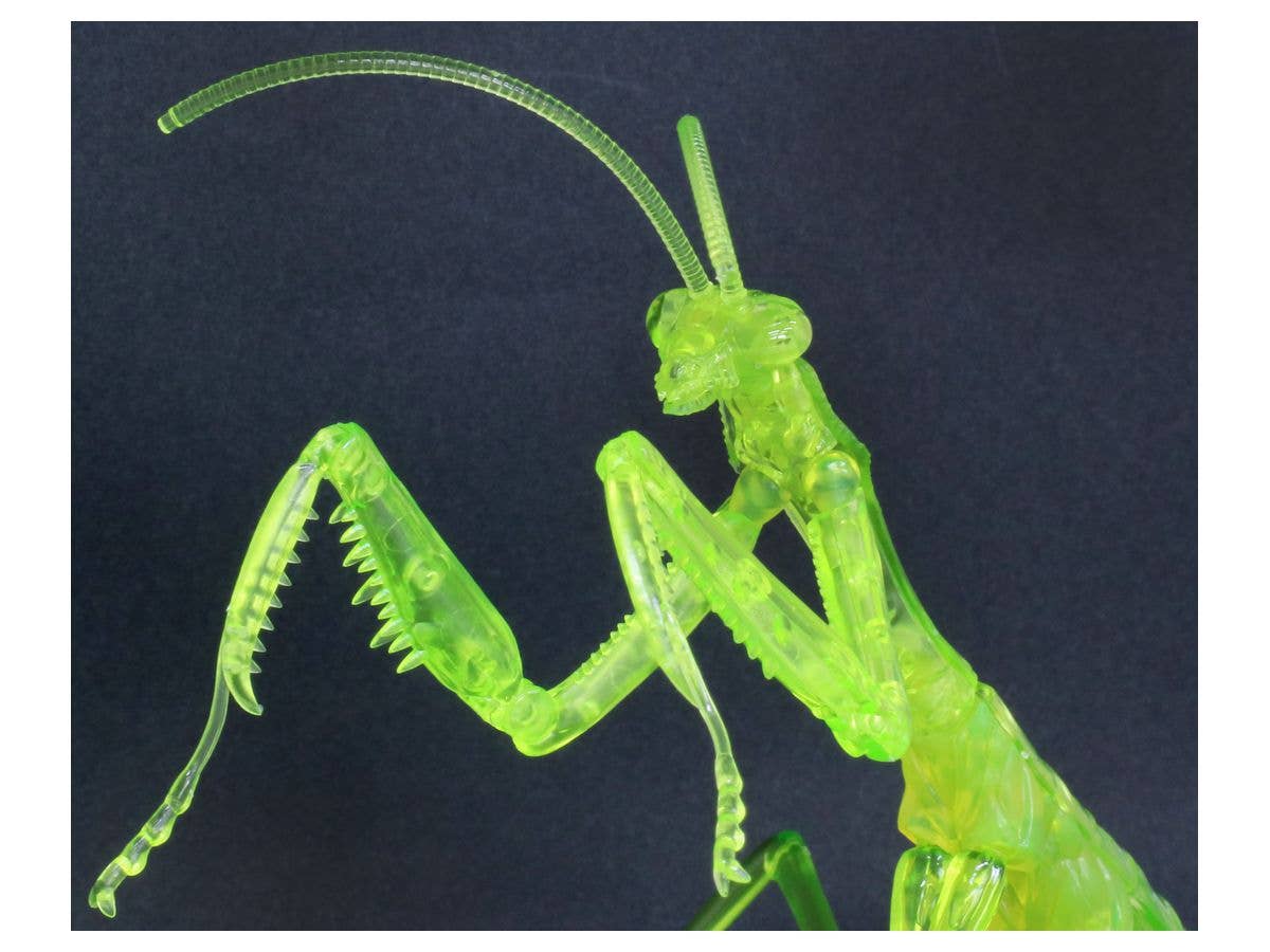 Fujimi Non Scale Biology Edition Big Mantis (Clear Green) | 4968728171067