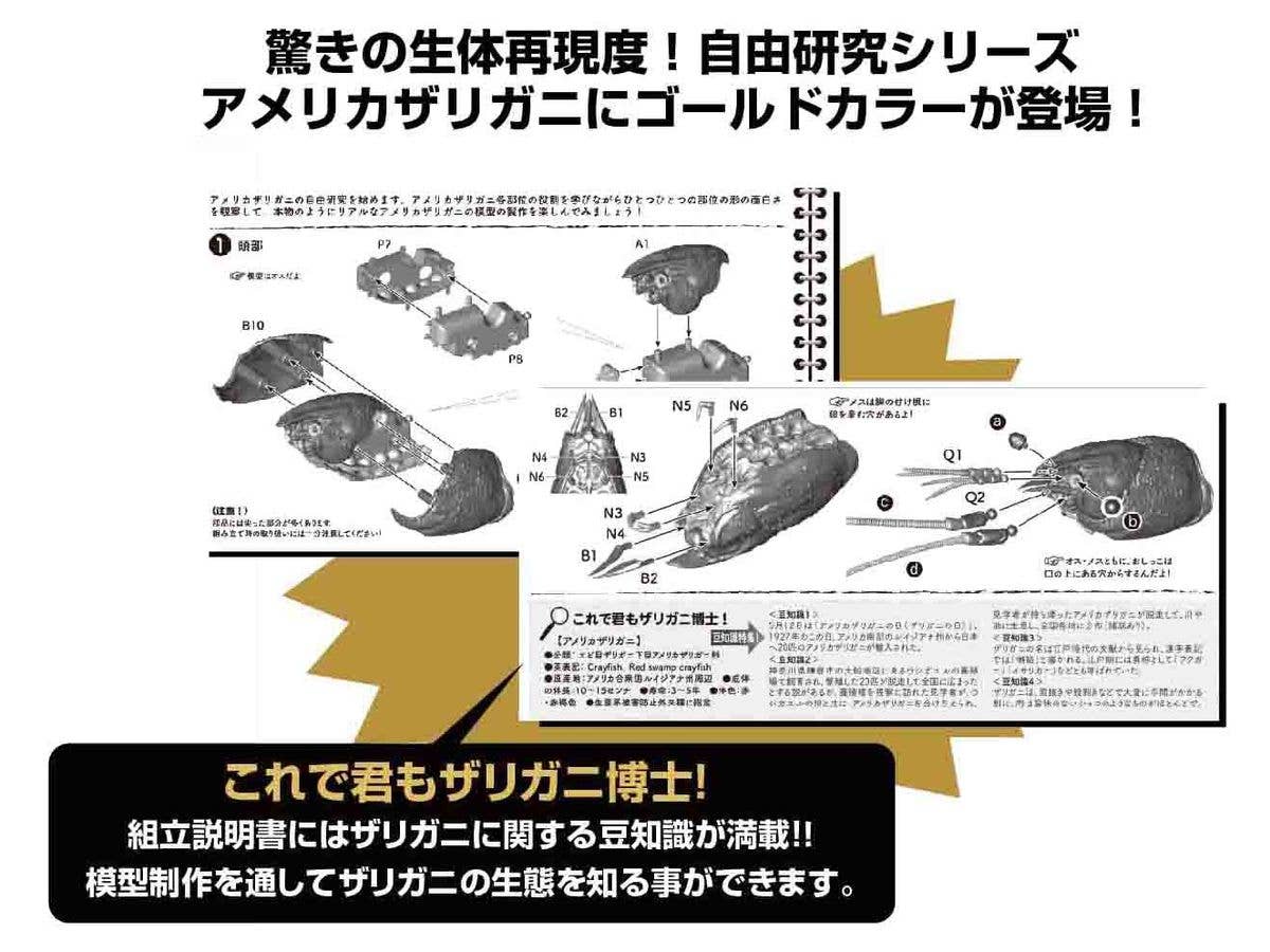 Fujimi Biology Edition Crayfish (Gold) | 4968728171081