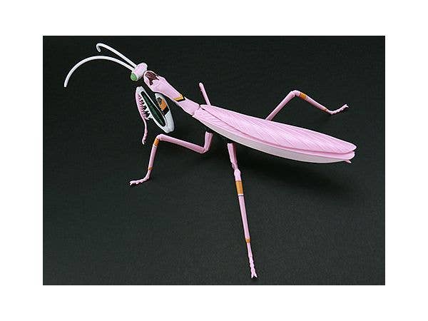 Fujimi Evangelion Edition Big Mantis Type Unit-08 | 4968728171197