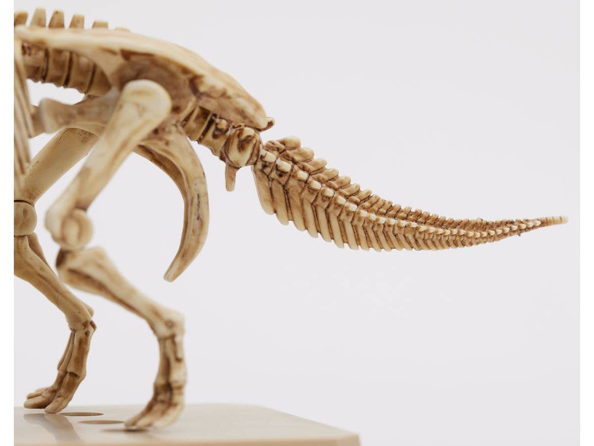 Mr Hobby TRICERATOPS / STEGOSAURUS SET | 4973028928792