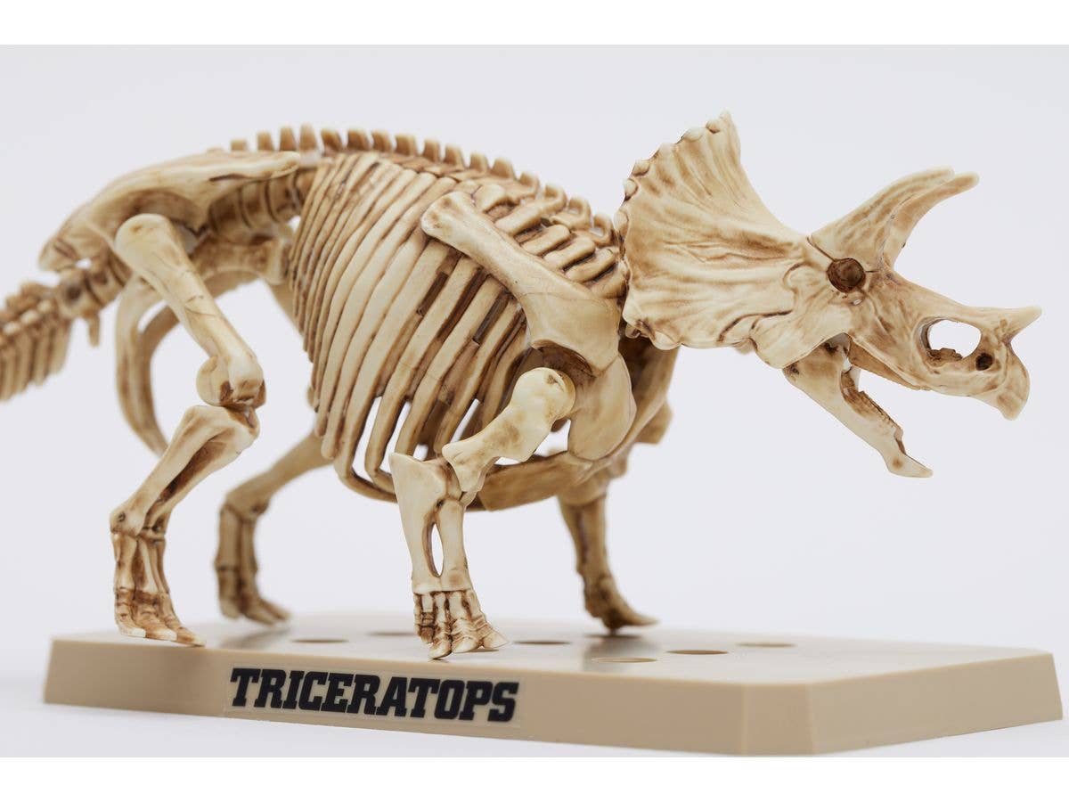 Mr Hobby TRICERATOPS / STEGOSAURUS SET | 4973028928792