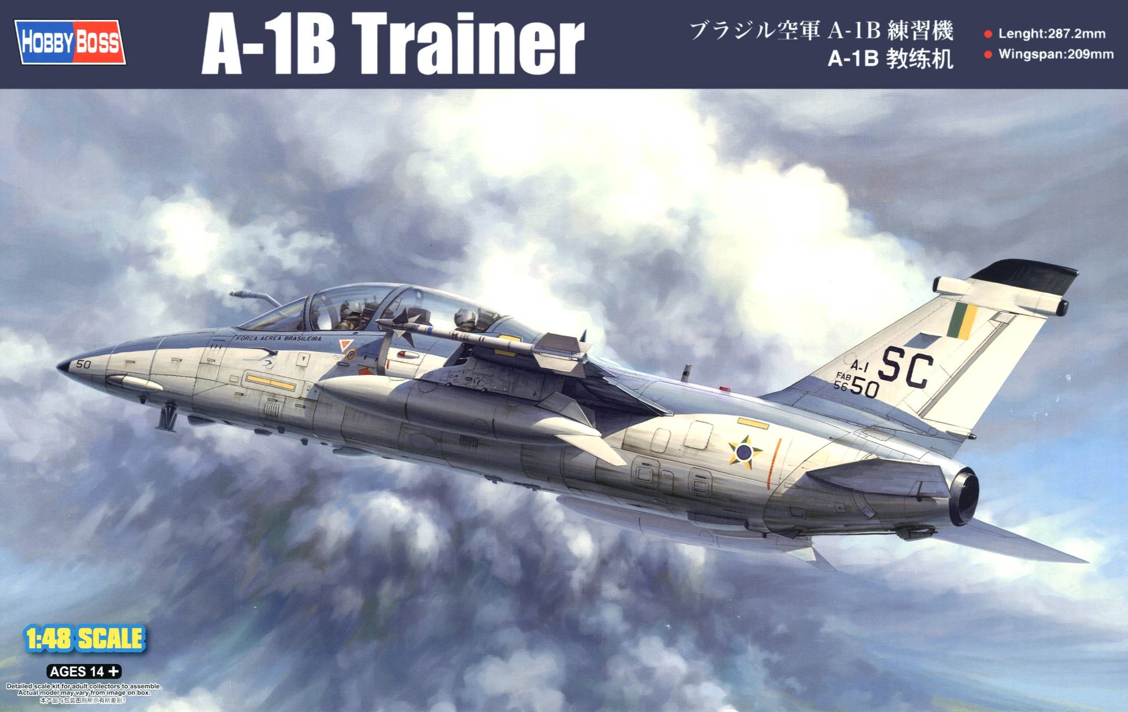 Hobby Boss 1/48 A-1B Trainer | 6939319217448