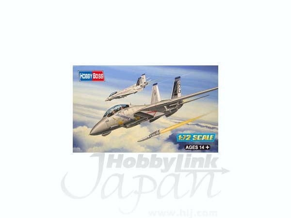 Hobby Boss 1/72 F-14B Tomcat | 6939319202772
