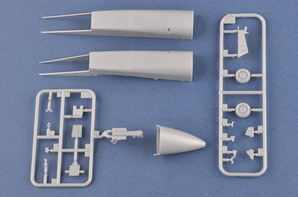 Hobby Boss 1/48 F-14A Tomcat - IRIAF �Persian Cat�
