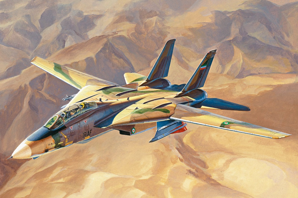 Hobby Boss 1/48 F-14A Tomcat - IRIAF �Persian Cat�