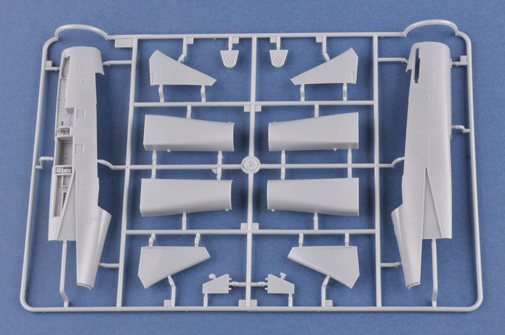 Hobby Boss 1/48 F-14A Tomcat - IRIAF �Persian Cat�