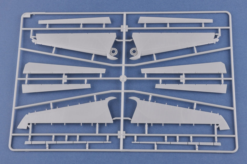 Hobby Boss 1/48 F-14A Tomcat - IRIAF �Persian Cat�