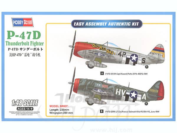 Hobby Boss 1/48 P-47D Thunderbolt Fighter | 6939319258045