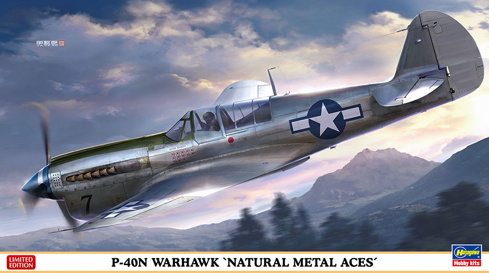 Hasegawa 1/48 P-40N Warhawk 'Natural Metal Aces' Propeller Plane | 4967834075160