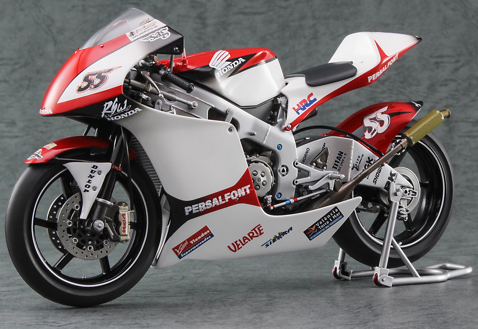 Hasegawa 1/12 Honda RS250RW “2009 WGP250”