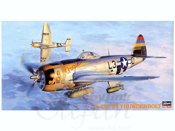 Hasegawa 1/48 P-47D-25 Thunderbolt | 4967834191402