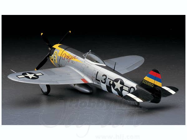 Hasegawa 1/48 P-47D-25 Thunderbolt | 4967834191402