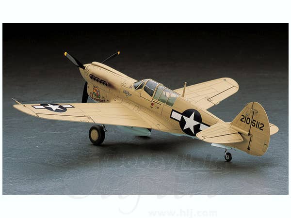 Hasegawa 1/48 P-40N Warhawk JT88 | 4967834191884