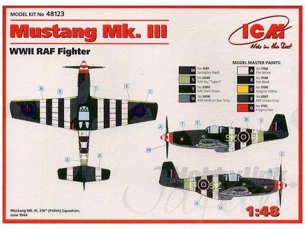 ICM 1/48 Mustang Mk.III, WWII RAF Fighter | 4823044400546