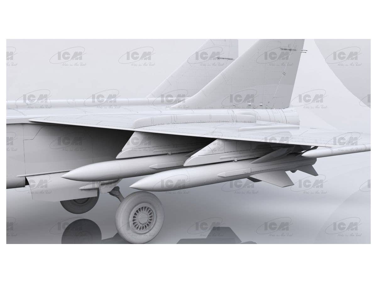 ICM 1/48 MiG-25 BM, Soviet Strike Aircraft | 4823044405794