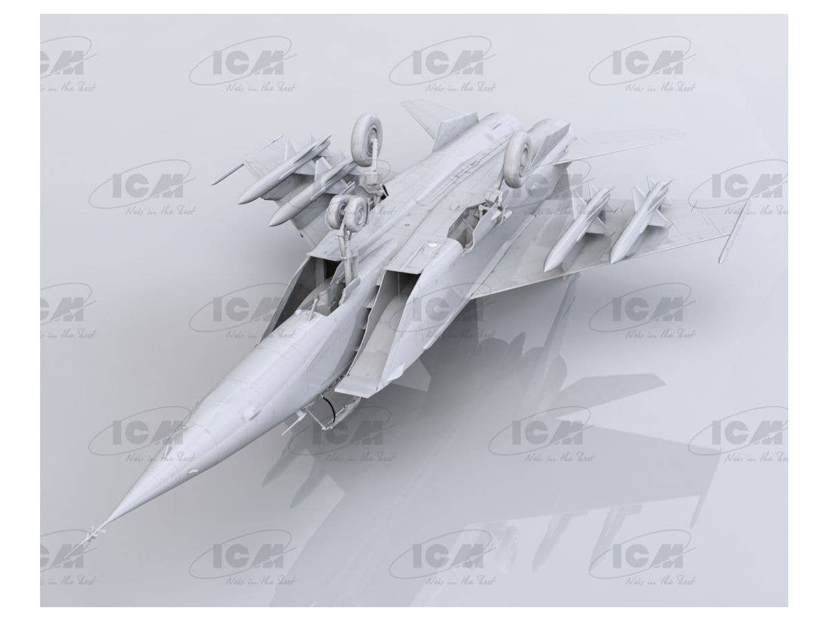 ICM 1/48 MiG-25 BM, Soviet Strike Aircraft | 4823044405794