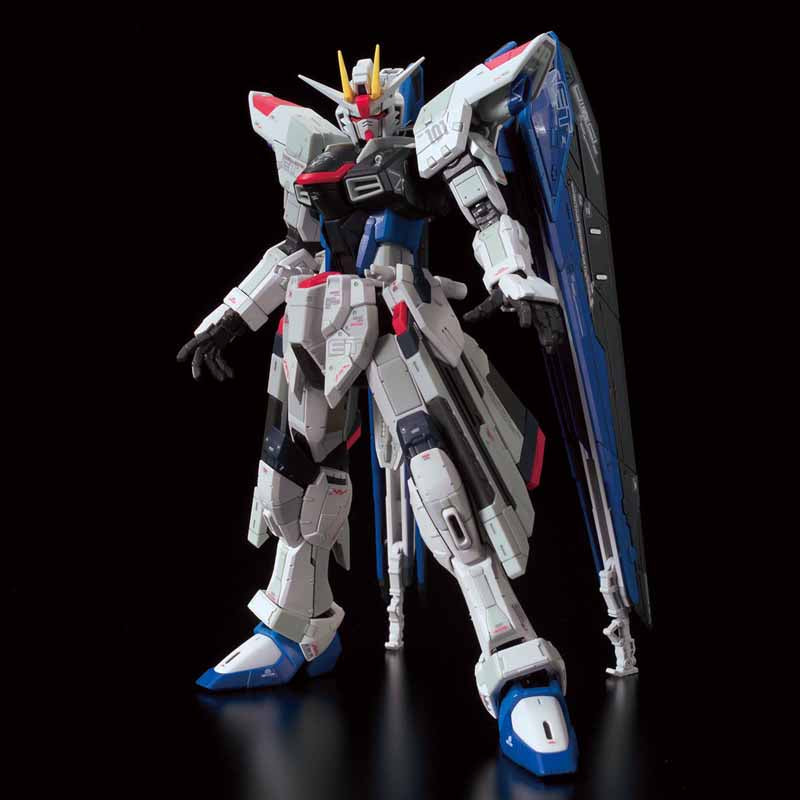 P-Bandai RG 1/144 The Gundam Base Limited ZGMF-X10A Freedom Gundam Ver.GCP