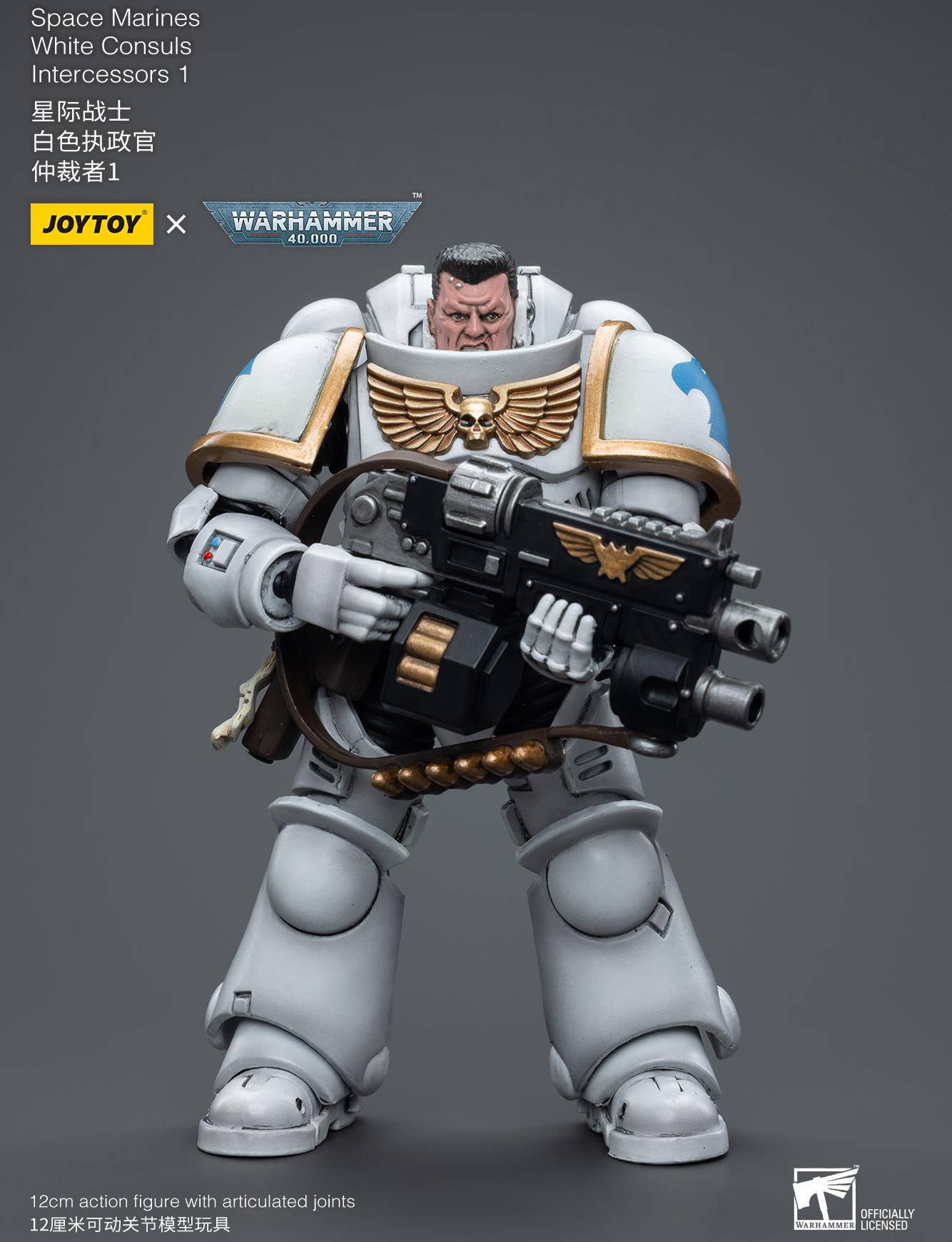 Joy Toy Space Marines White Consuls Intercessors 1 | 6973130376847