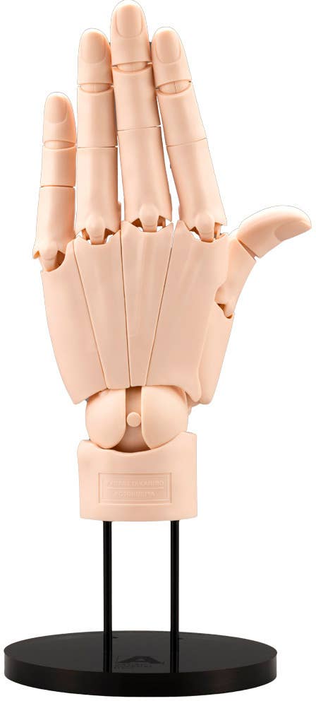 ARTIST SUPPORT ITEM HAND MODEL/L -PALE ORANGE- | 4934054063116