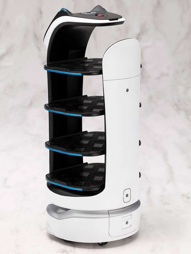 GRANDE SCALE BellaBot | 4934054075690