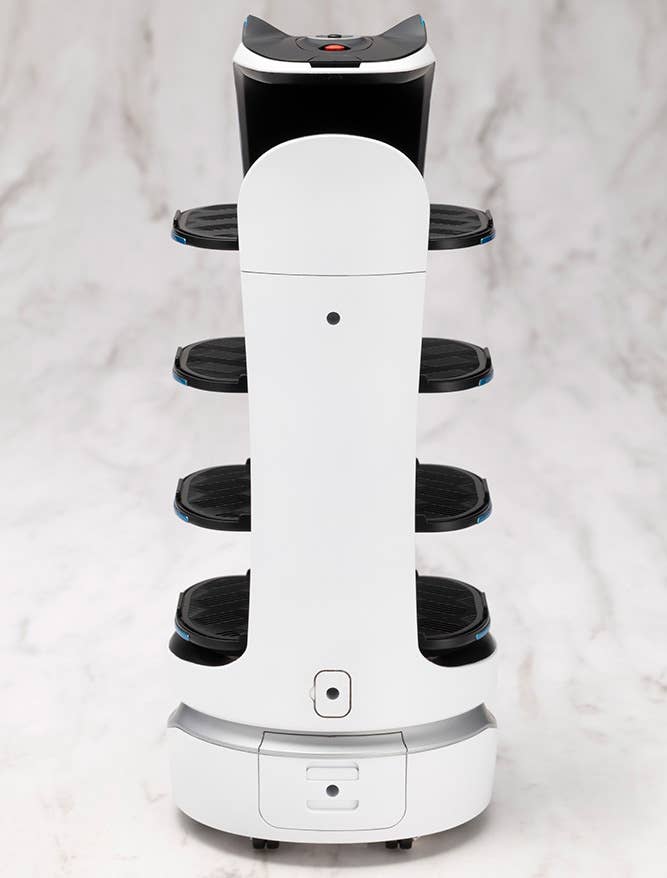 GRANDE SCALE BellaBot | 4934054075690