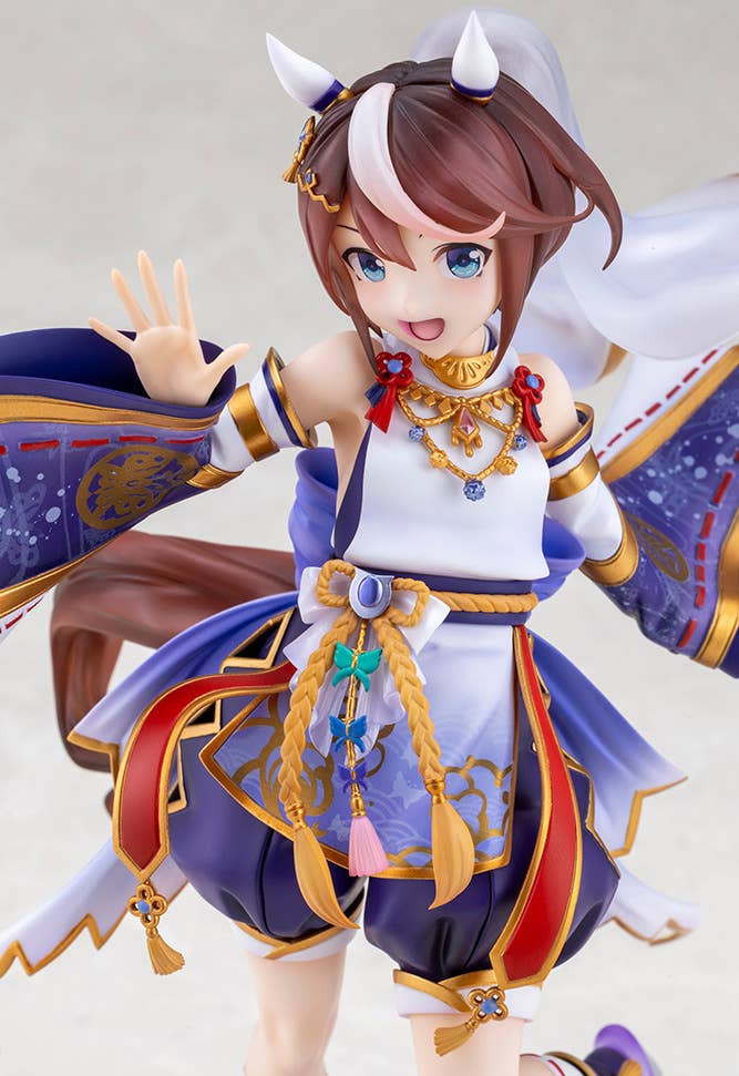 Shiun no Yumemitori Tokai Teio | 4934054069163