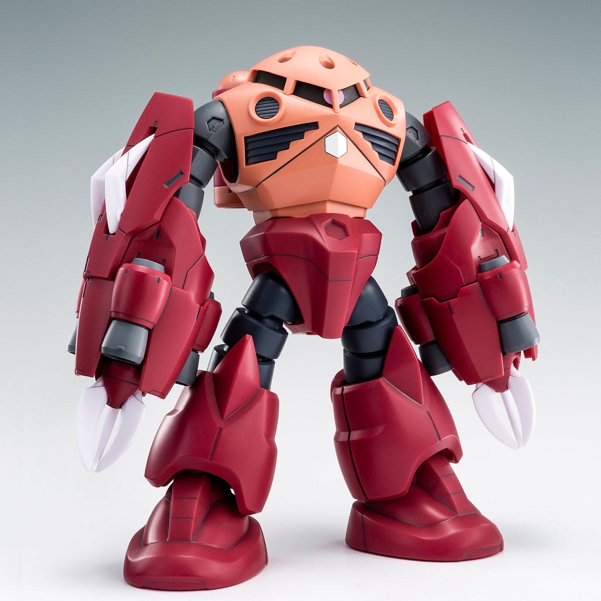 P-Bandai HG 1/144 Amazing Z'gok