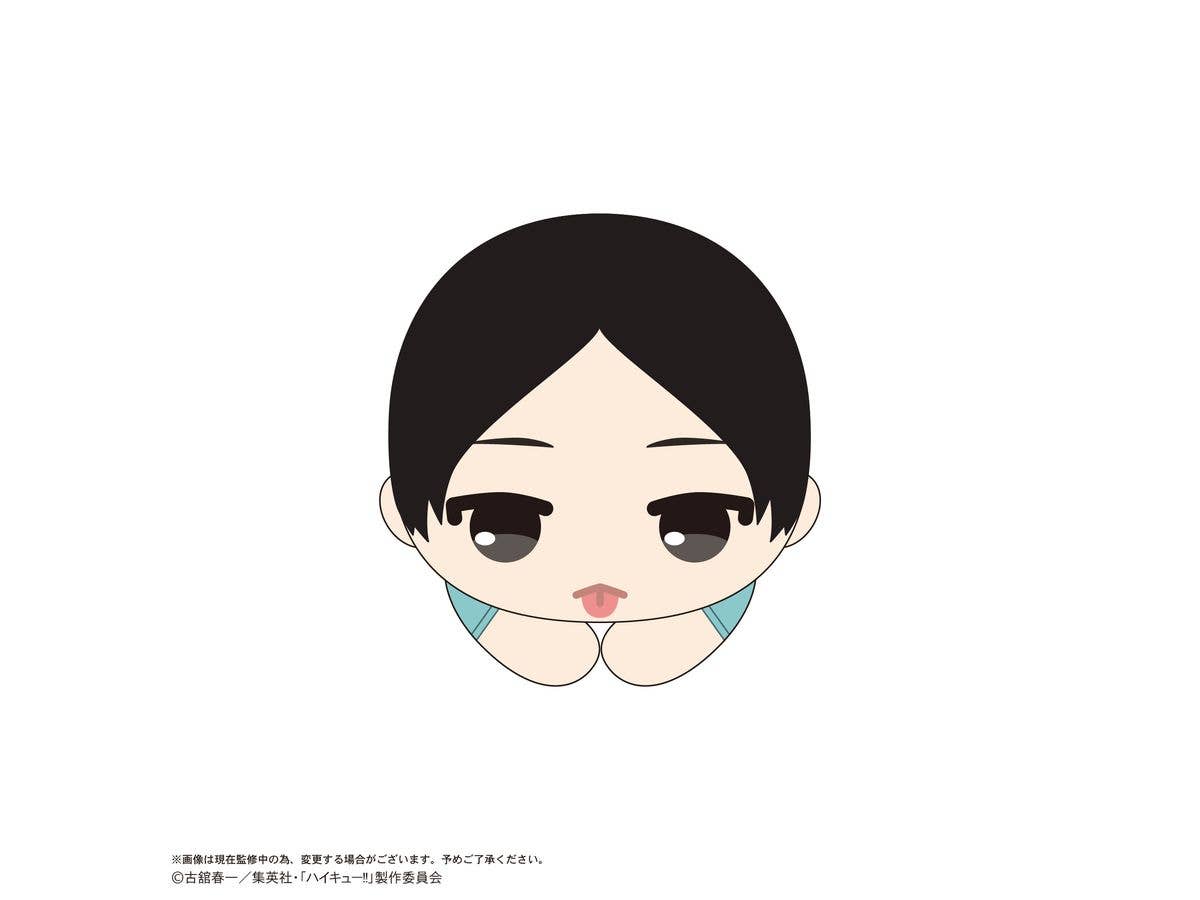 Haikyu HUG CHARACTER COLLECTION9 | 4580683626460