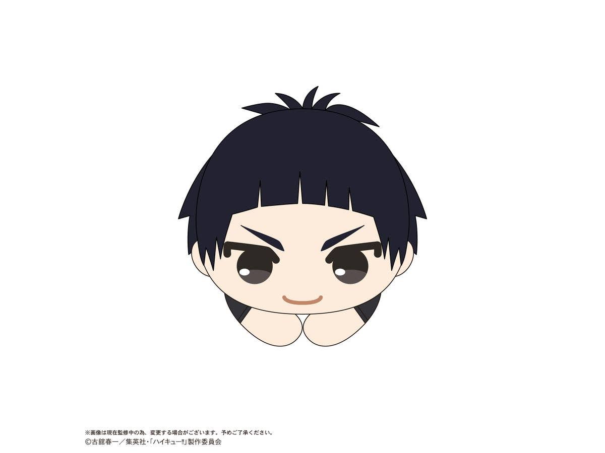 Haikyu HUG CHARACTER COLLECTION9 | 4580683626460