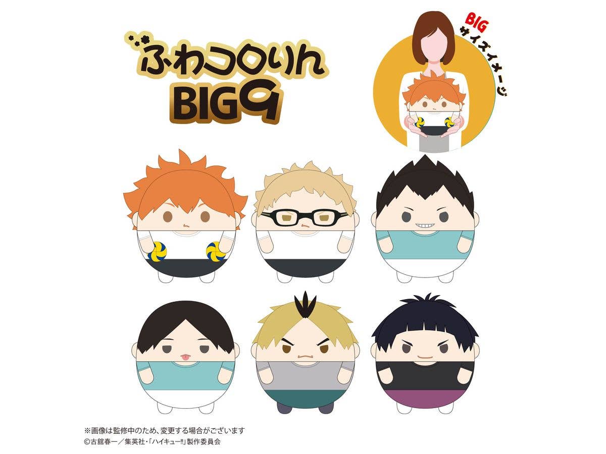 Haikyu FUWA KORORIN BIG 9 (ITEM C) | 4580683626736